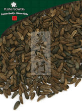 牛棒子,未硫化的牛蒡果